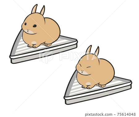 迷你兔子使用廁所 迷你兔子使用廁所 75614048