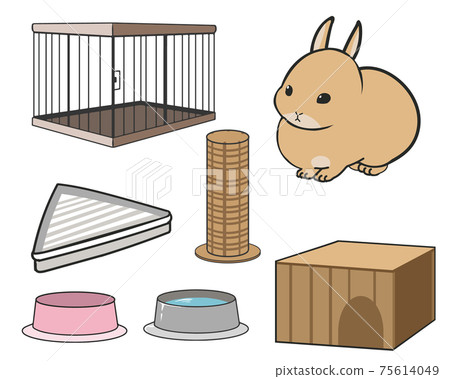 準備飼養迷你兔子 75614049