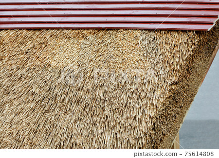Fragment of a thatched roof, ecological housing concept. Fragment of a thatched roof, ecological housing concept. 75614808