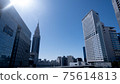 Shinjuku overlooking the blue sky 75614813