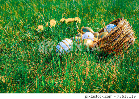 Easter eggs. Golden egg with yellow spring flowers in celebration basket on green grass background. Easter hunt concept. Easter eggs. Golden egg with yellow spring flowers in celebration basket on green grass background. Easter hunt concept. 75615119
