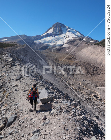 Woman on the Timberline Trail on Mount Hood, Oregon. Woman on the Timberline Trail on Mount Hood, Oregon. 75615224