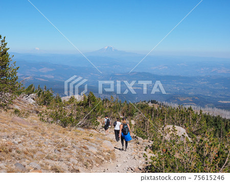 Hikers on the Timberline Trail on Mount Hood, Oregon. Hikers on the Timberline Trail on Mount Hood, Oregon. 75615246