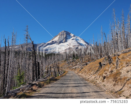 Mount Hood, Oregon. 75615283