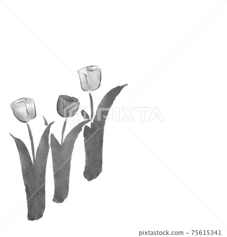 Tulip flower (hand-drawn illustration of ink) Tulip flower (hand-drawn illustration of ink) 75615341