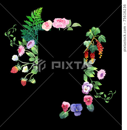 <水彩>一束魔法森林（漿果，紫羅蘭，玫瑰，蕨類，藤本植物）的垂直矩形框架材料（黑色背景） 75616236