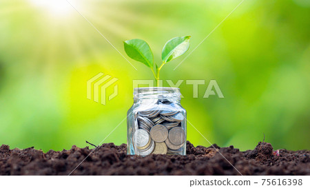 Small plants that grow bottle money, coins on soil, business and investment growth ideas. Small plants that grow bottle money, coins on soil, business and investment growth ideas. 75616398