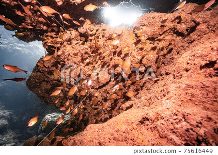 Cave diving Cave diving 75616449