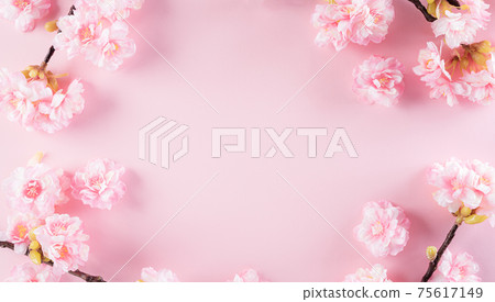 Happy women's day concept, pink plum blossom frame on pastel background. Flat lay ,top view. Happy women's day concept, pink plum blossom frame on pastel background. Flat lay ,top view. 75617149