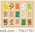 Illustration set of regular vegetables 75617707