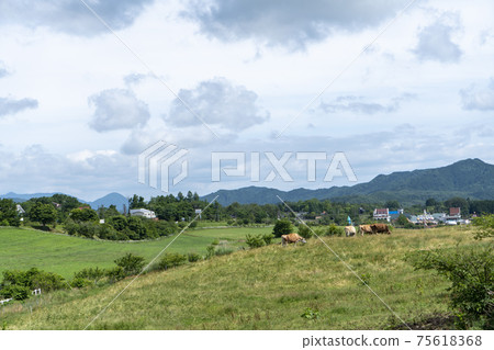 Summer of the plateau 75618368