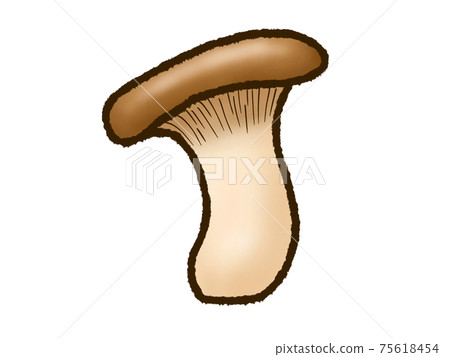 king oyster mushroom king oyster mushroom 75618454