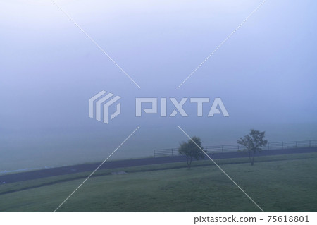 Morning of the plateau Morning of the plateau 75618801