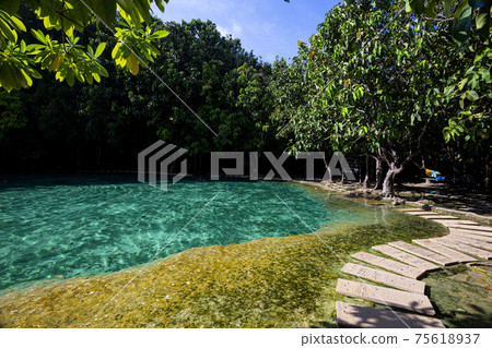 Emerald Pool-Krabi Emerald Pool-Krabi 75618937