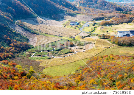 盛開的秋葉的徒步旅行圖像(大仙神龍雕像山) 盛開的秋葉的徒步旅行圖像(大仙神龍雕像山) 75619598