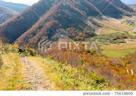 Trekking image of autumn leaves in full bloom (Daisen Kagamiganaru statue mountain) 75619600