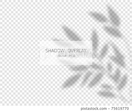 Shadow overlay effect. Natural shadows isolated on transparent background. Vector illustration. Shadow overlay effect. Natural shadows isolated on transparent background. Vector illustration. 75619770