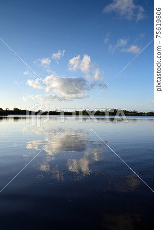 Nine Mile Pond afternoon cloudscape and reflections in Everglades National Park. 75619806
