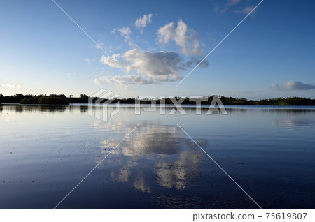 Nine Mile Pond afternoon cloudscape and reflections in Everglades National Park. 75619807