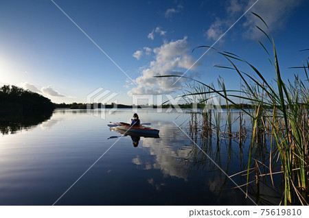 Woman kayaking on Nine Mile Pond in Everglades National Park, Florida. 75619810