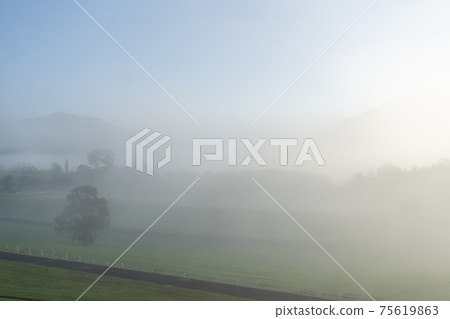 Morning of the plateau 75619863