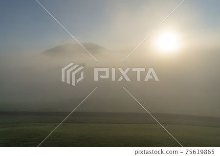 高原的早晨 75619865