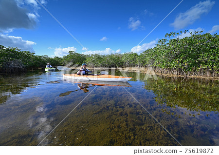 Woman and active senior kayaking on Nine Mile Pond in Everglades National Park. 75619872