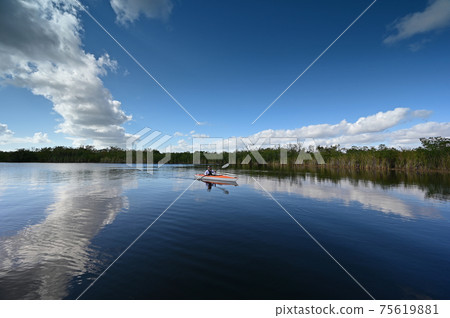 Woman kayaking on Nine Mile Pond in Everglades National Park, Florida. 75619881