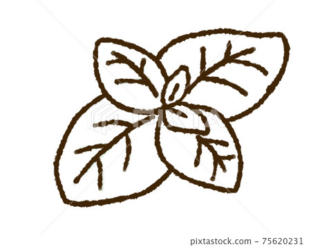 薄荷（單色） 75620231