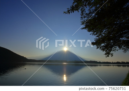 靜岡縣夏季W鑽石富士（谷狸湖） 75620731