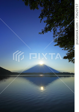 靜岡縣夏季W鑽石富士(谷狸湖) 靜岡縣夏季W鑽石富士(谷狸湖) 75620737