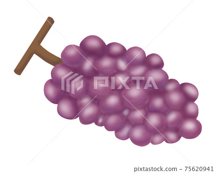 Grape (without main line) 75620941