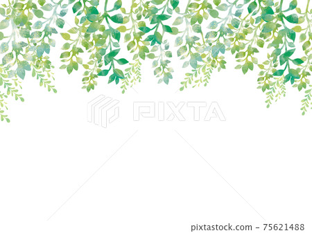 Watercolor-style fresh green background material Forest trees Forest fresh green Nature forest bath 75621488