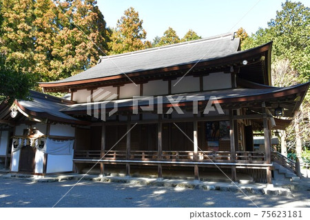 椿早春的大神社 75623181