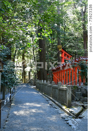 Tsubaki Grand Shrine in early spring Tsubaki Grand Shrine in early spring 75623186