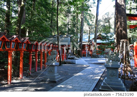 Tsubaki Grand Shrine in early spring Tsubaki Grand Shrine in early spring 75623190