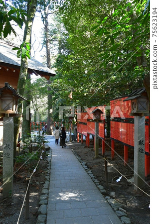Tsubaki Grand Shrine in early spring Tsubaki Grand Shrine in early spring 75623194