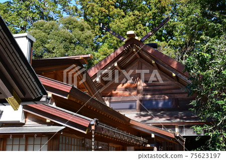 Tsubaki Grand Shrine in early spring 75623197