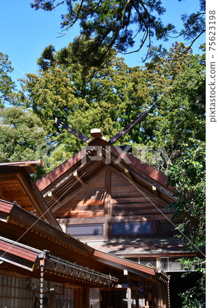 椿早春的大神社 75623198