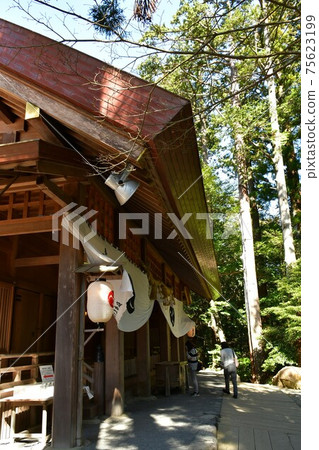 椿早春的大神社 椿早春的大神社 75623199