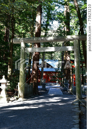 Tsubaki Grand Shrine in early spring 75623210