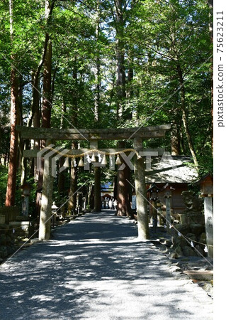 Tsubaki Grand Shrine in early spring Tsubaki Grand Shrine in early spring 75623211