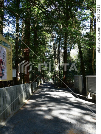 Tsubaki Grand Shrine in early spring Tsubaki Grand Shrine in early spring 75623212