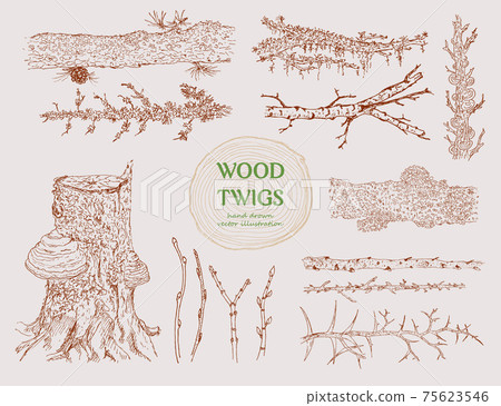 Hand Drawn Wood Branches Set 75623546