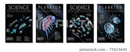 Plankton Poster Set Plankton Poster Set 75623640