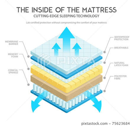 Mattress Anatomy Illustration 75623684