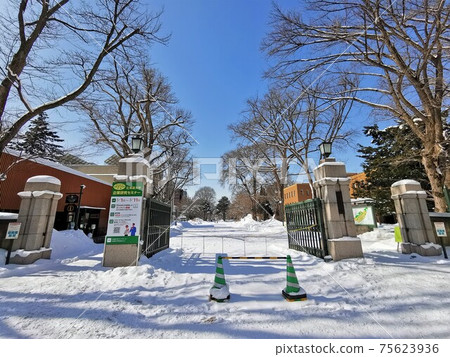 Hokkaido University front gate (Hokkaido Sapporo city) Hokkaido University front gate (Hokkaido Sapporo city) 75623936