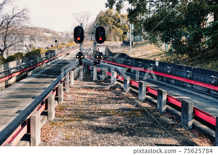 萊昂納納信號 75625784