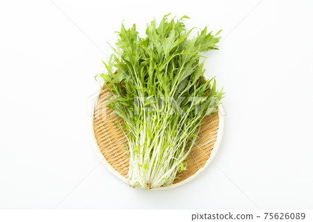 Mizuna Mizuna 75626089