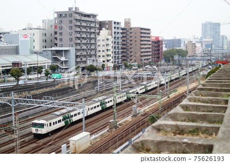 Limited Express Odoriko (185 series Odoriko's last run train) 75626193